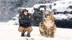 Andy and the Snow Leopard Andy and the Snow Leopard
