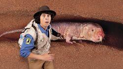 Andy and the Naked Mole Rat Andy and the Naked Mole Rat