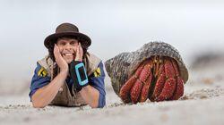 Andy and the Hermit Crab Andy and the Hermit Crab