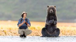 Grizzly Bears Grizzly Bears
