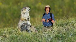 Prairie Dogs Prairie Dogs