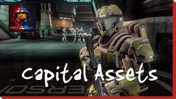 Capital Assets Capital Assets