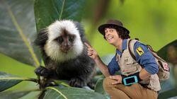 Andy and the Marmosets Andy and the Marmosets
