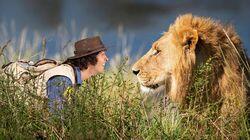 Andy and the Lions Andy and the Lions