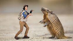 Andy and the Armadillo Andy and the Armadillo