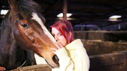 A Husky Living in a Scrapyard, a Hero Dog and an Ex-Racehorse