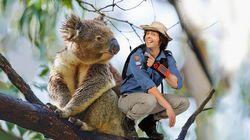 Marsupials Marsupials