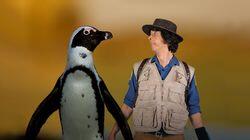 Andy and the African Penguins Andy and the African Penguins