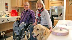 A Dog Love Story and Unlicensed Dog Boarding A Dog Love Story and Unlicensed Dog Boarding
