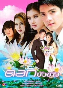 Dok Bua Kao Dok Bua Kao