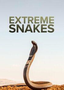 Extreme Snakes Extreme Snakes