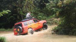 Jungle Road Jungle Road