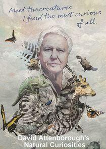 David Attenborough's Natural Curiosities David Attenborough's Natural Curiosities