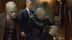 Last Rites Last Rites
