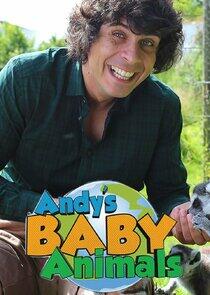 Andy's Baby Animals Andy's Baby Animals