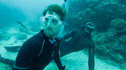 Shark Swarm Freedive Shark Swarm Freedive