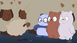 Sheep Bears Sheep Bears