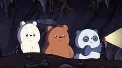 Bears in the Dark Bears in the Dark