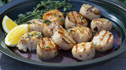 Pop's Pancakes and Symon's Scallops Pop's Pancakes and Symon's Scallops