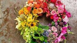 Flowers: Nature's Rainbow Flowers: Nature's Rainbow