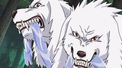 Sand Alliance With The Leaf Shinobi Sand Alliance With The Leaf Shinobi