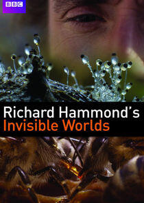 Richard Hammond's Invisible Worlds Richard Hammond's Invisible Worlds