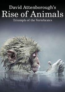 David Attenborough's Rise of Animals David Attenborough's Rise of Animals