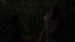 Tree People Tree People