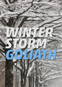 Winter Storm Goliath Winter Storm Goliath