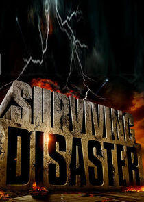 Surviving Disaster Surviving Disaster