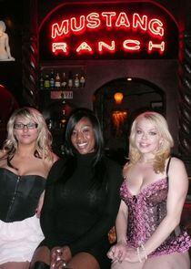 Mustang Ranch: Labor of Love Mustang Ranch: Labor of Love