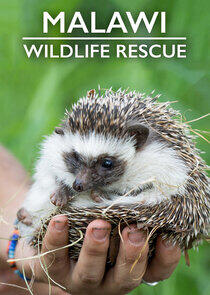 Malawi Wildlife Rescue Malawi Wildlife Rescue