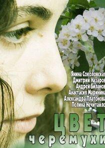 Цвет черёмухи Цвет черёмухи