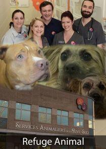 Refuge Animal Refuge Animal
