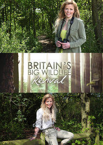Britain's Big Wildlife Revival Britain's Big Wildlife Revival