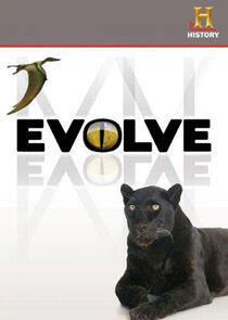 Evolve Evolve