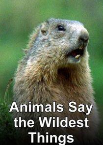 Animals Say the Wildest Things Animals Say the Wildest Things