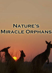 Nature's Miracle Orphans Nature's Miracle Orphans