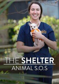 The Shelter: Animal SOS The Shelter: Animal SOS