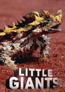 Little Giants Little Giants