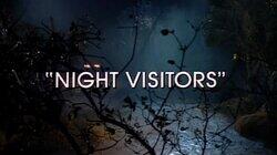 Night Visitors Night Visitors