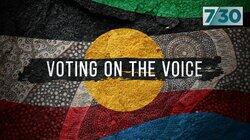 Voting on the Voice Voting on the Voice