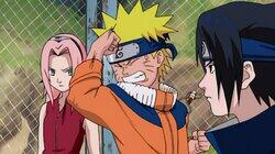 The Chunin Exam Stage 2: The Forest of Death The Chunin Exam Stage 2: The Forest of Death