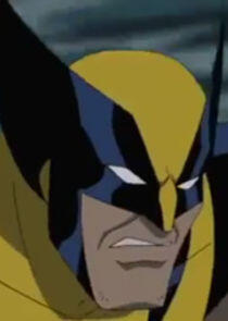 Wolverine Wolverine