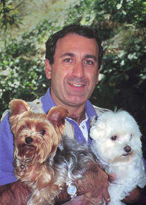 Dog Tales Dog Tales