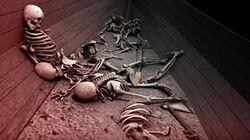 Vikings Unearthed Vikings Unearthed
