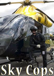 Sky Cops Sky Cops