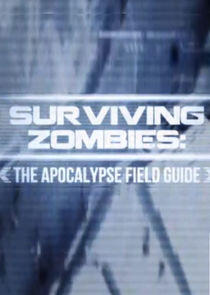 Surviving Zombies Surviving Zombies