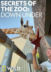 Taronga: Who's Who in the Zoo? - Season 2 Taronga: Who's Who in the Zoo? - Season 2