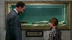 Big Fish in a Small Town Big Fish in a Small Town